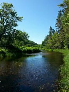 Bellisle_Creek2-225x300