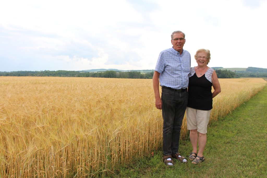 Les plans de relèves agricoles – un rendez-vous entre les fermiers nouveaux et expérimentés